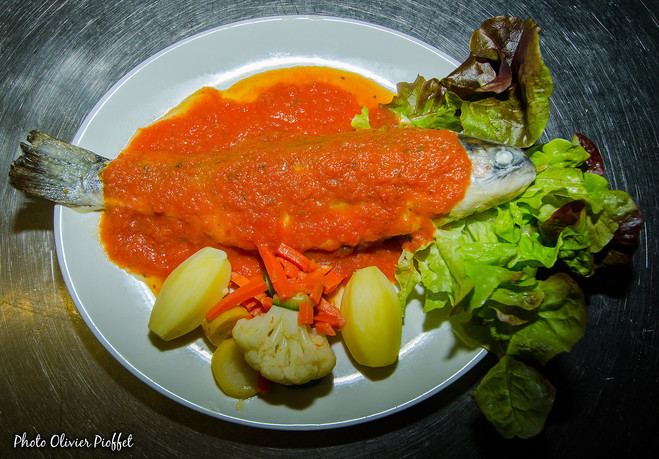 truite poisson